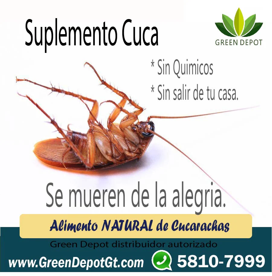 Imagen del producto 1